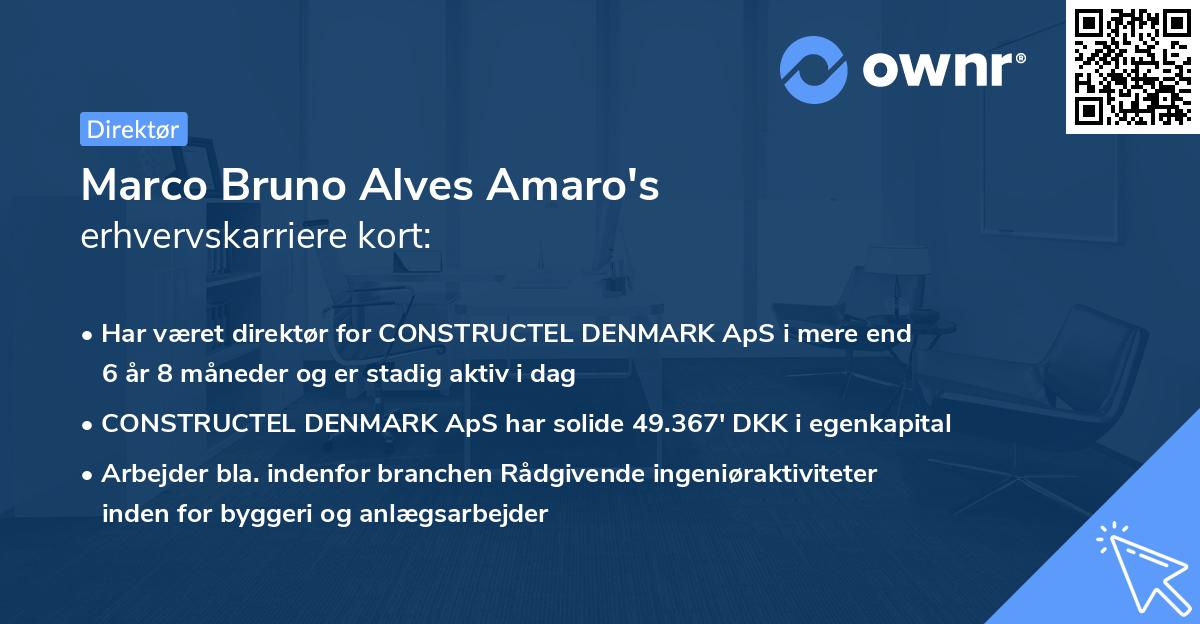 Marco Bruno Alves Amaro's erhvervskarriere kort