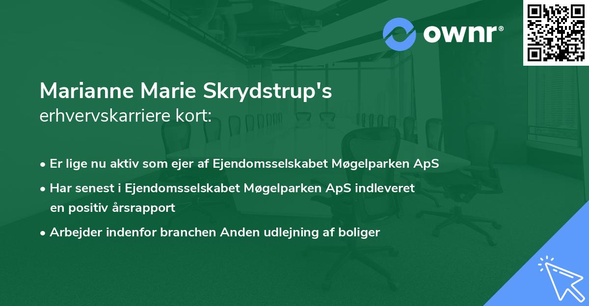 Marianne Marie Skrydstrup's erhvervskarriere kort