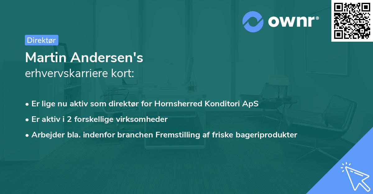 Martin Andersen's erhvervskarriere kort