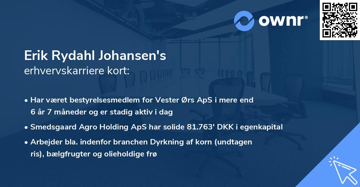 Erik Rydahl Johansen's erhvervskarriere kort