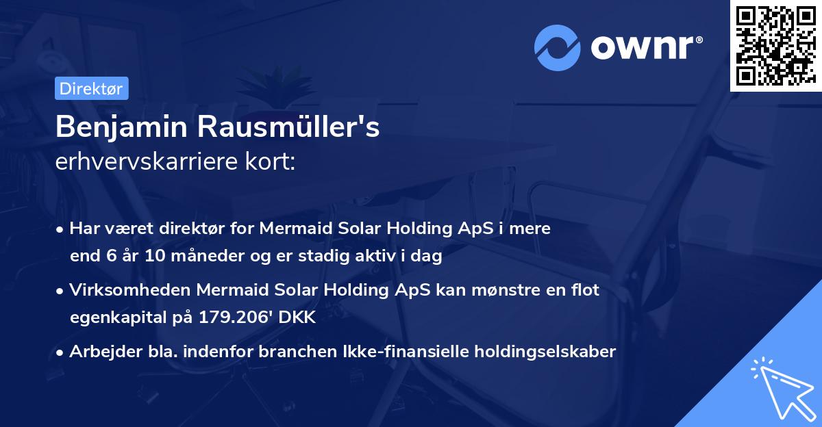Benjamin Rausmüller's erhvervskarriere kort