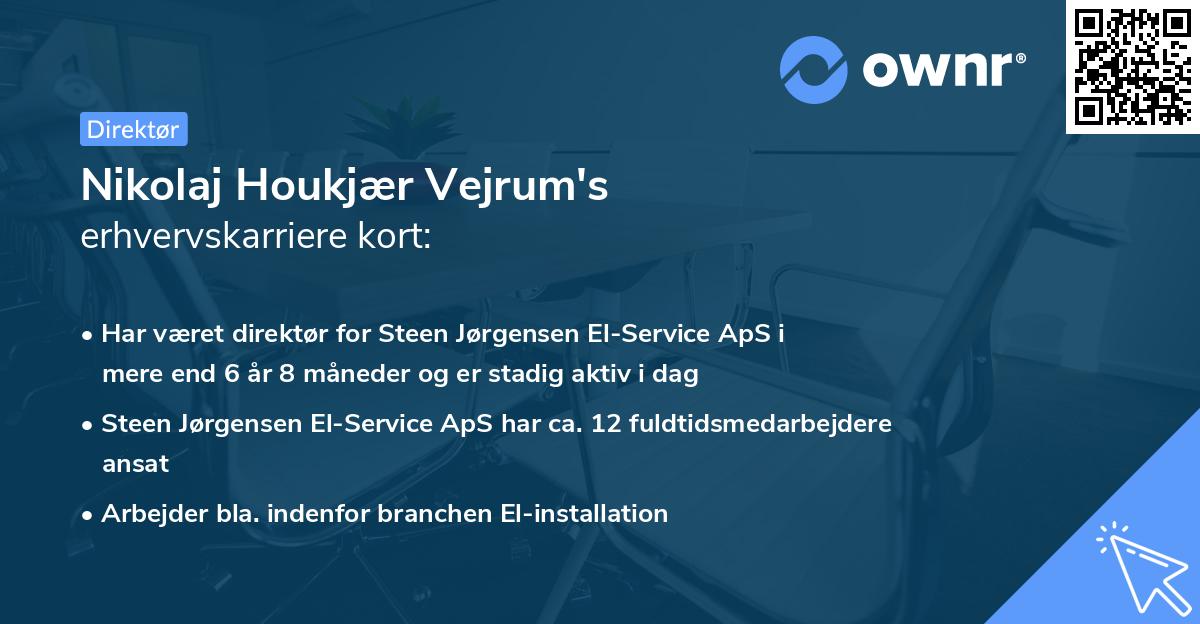 Nikolaj Houkjær Vejrum's erhvervskarriere kort