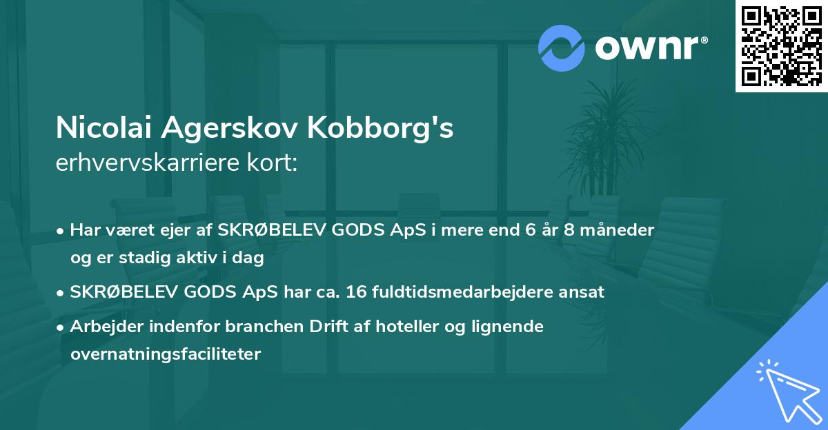 Nicolai Agerskov Kobborg's erhvervskarriere kort
