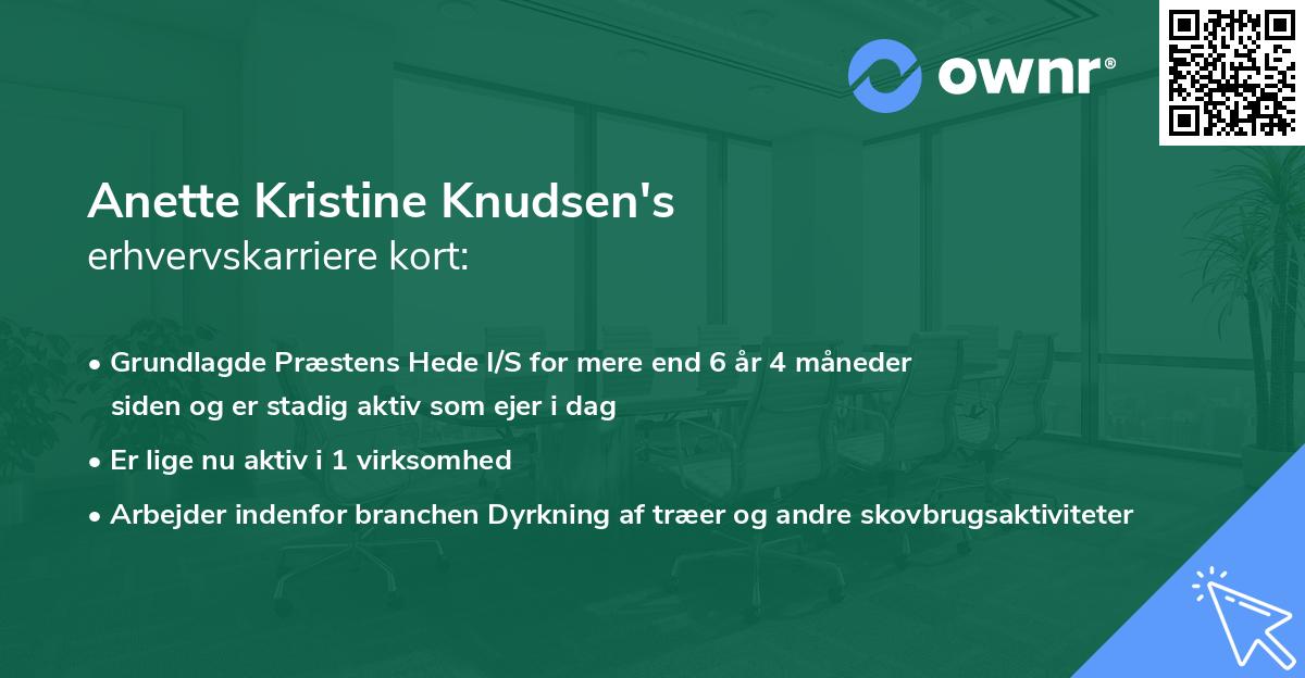 Anette Kristine Knudsen's erhvervskarriere kort