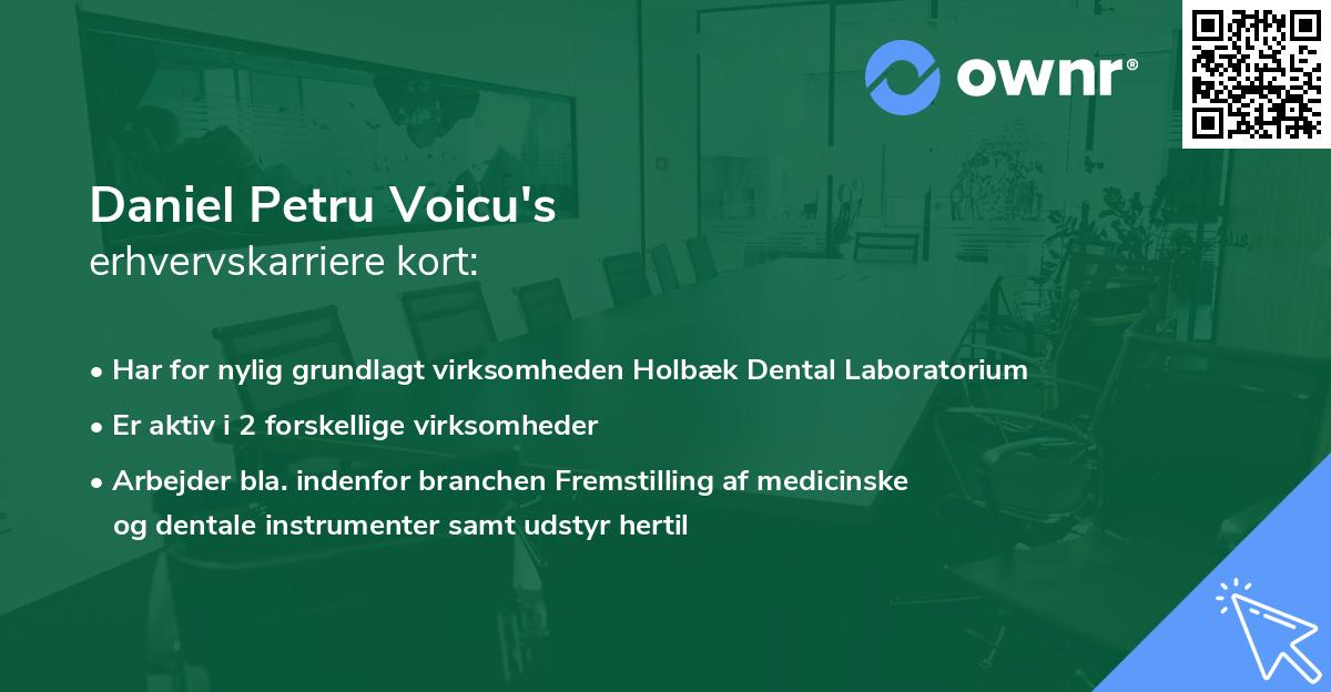 Daniel Petru Voicu's erhvervskarriere kort