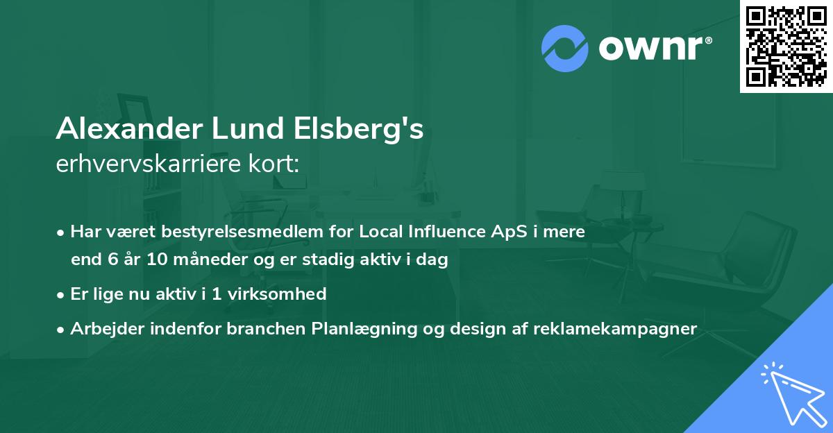 Alexander Lund Elsberg's erhvervskarriere kort