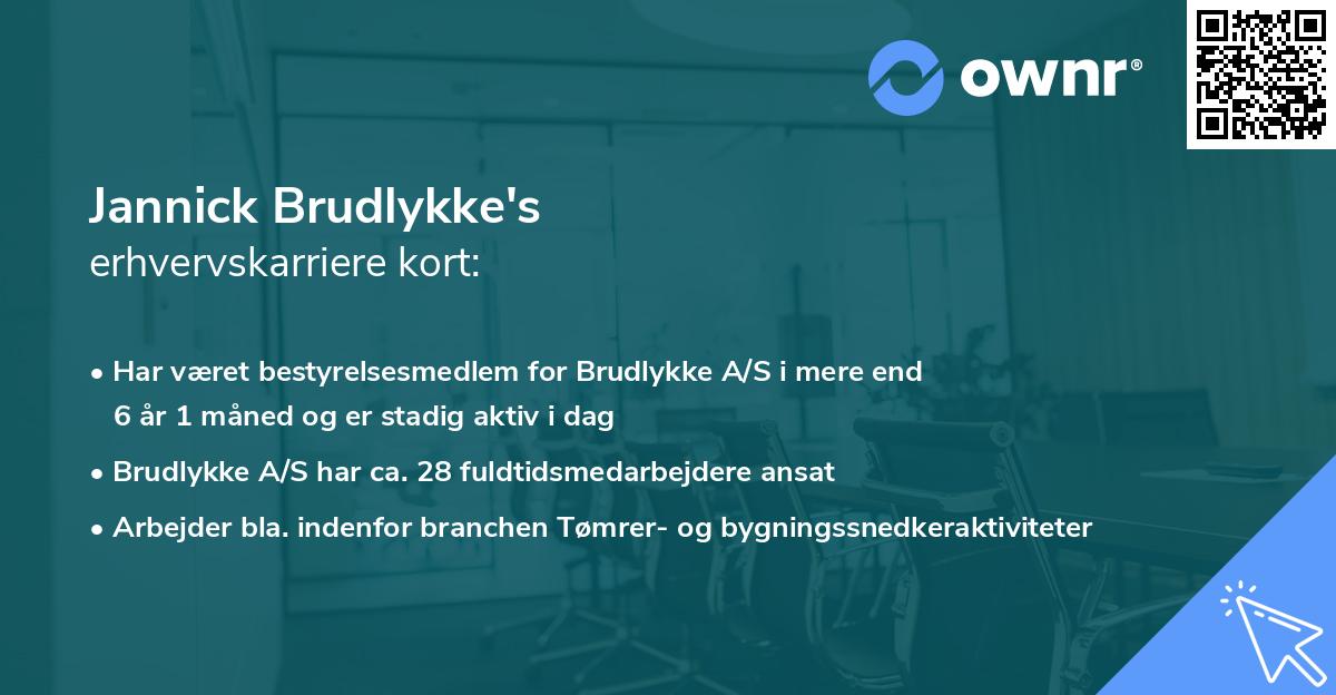 Jannick Brudlykke's erhvervskarriere kort