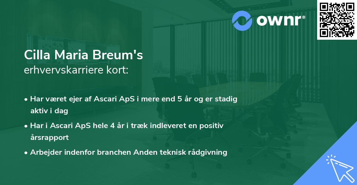 Cilla Maria Breum's erhvervskarriere kort