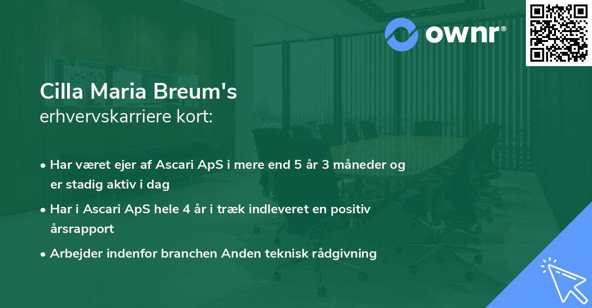 Cilla Maria Breum's erhvervskarriere kort