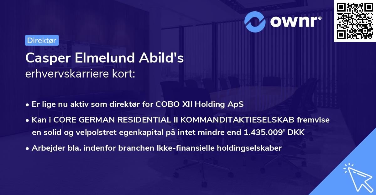 Casper Elmelund Abild's erhvervskarriere kort