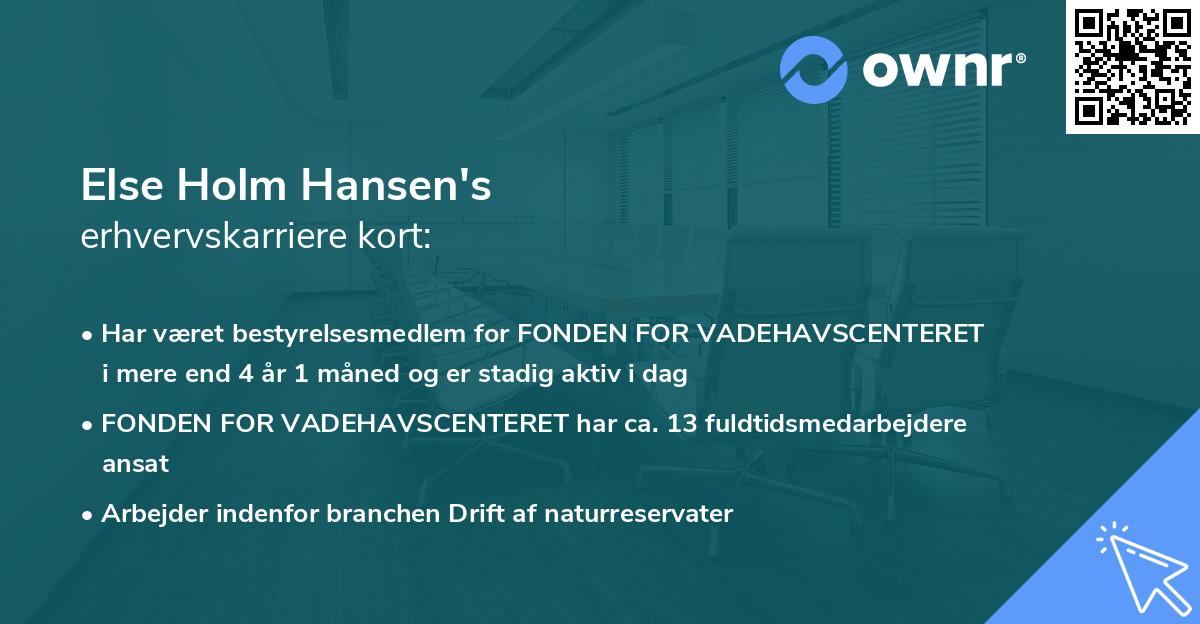 Else Holm Hansen's erhvervskarriere kort