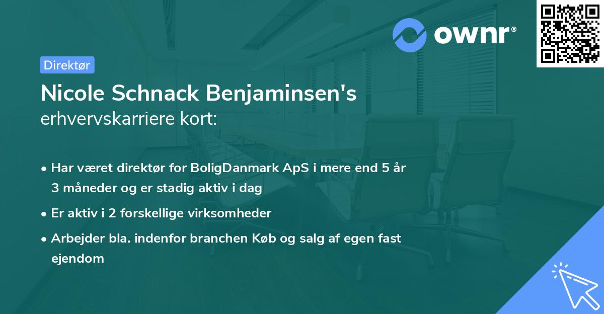 Nicole Schnack Benjaminsen's erhvervskarriere kort