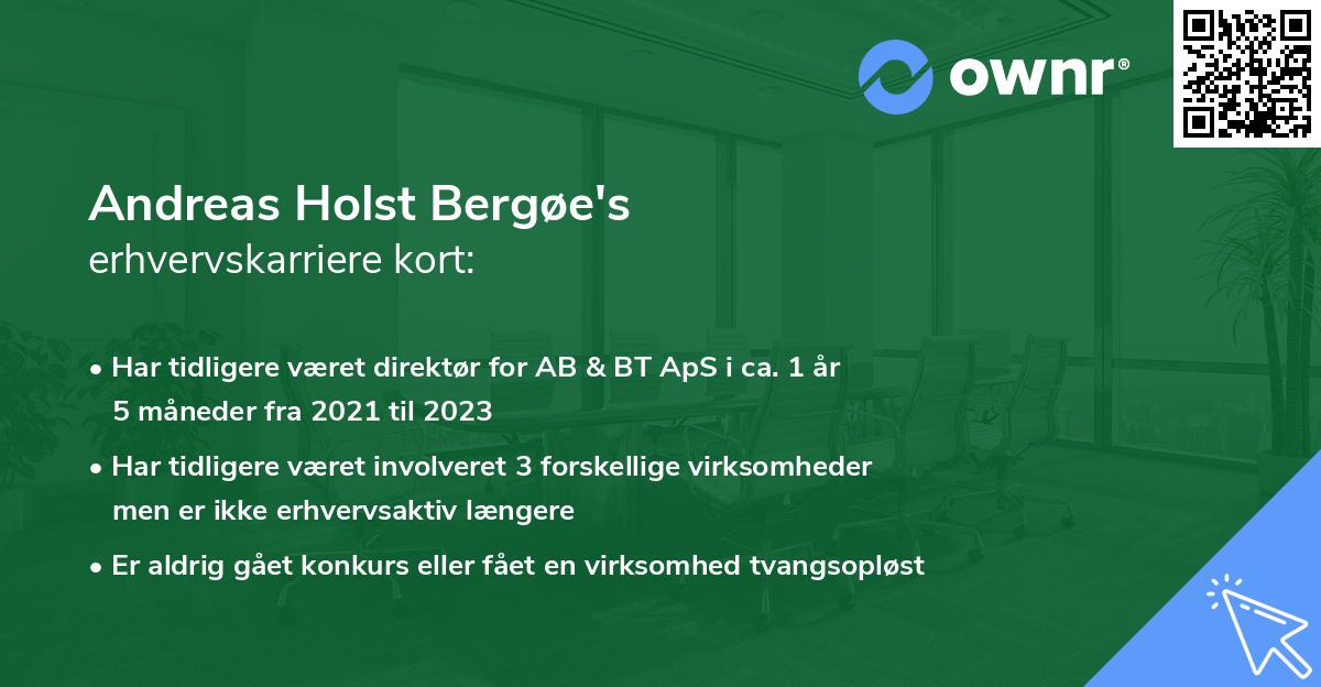 Andreas Holst Bergøe's erhvervskarriere kort