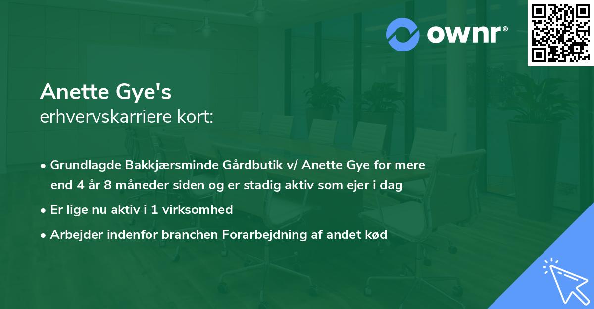 Anette Gye's erhvervskarriere kort