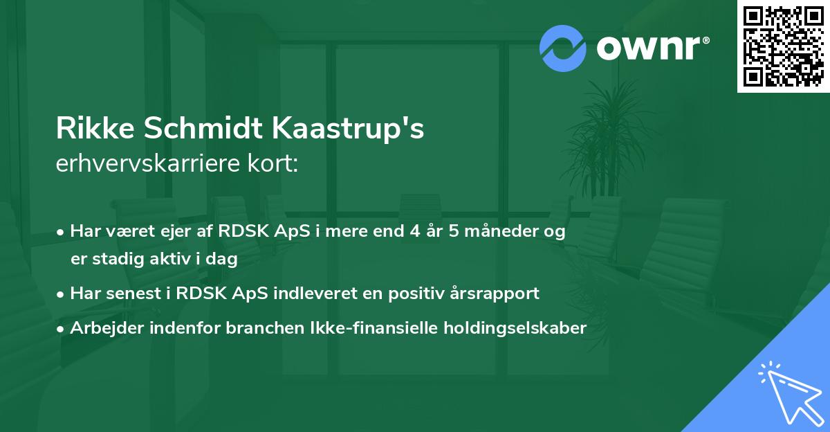 Rikke Schmidt Kaastrup's erhvervskarriere kort