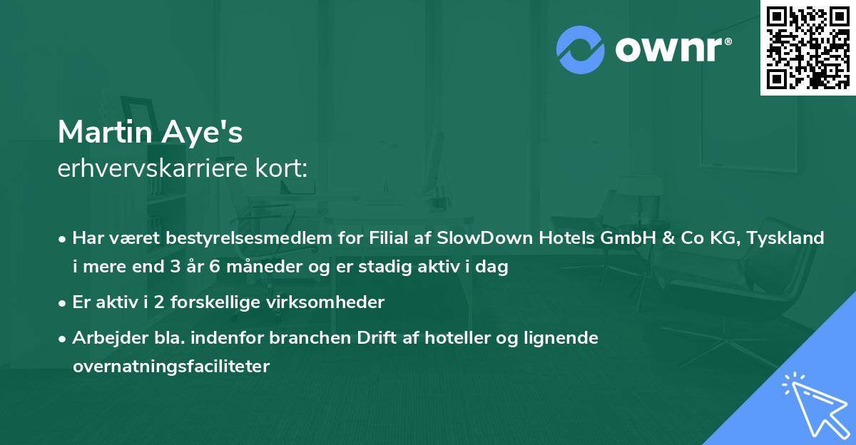 Martin Aye's erhvervskarriere kort