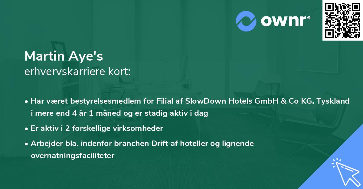Martin Aye's erhvervskarriere kort