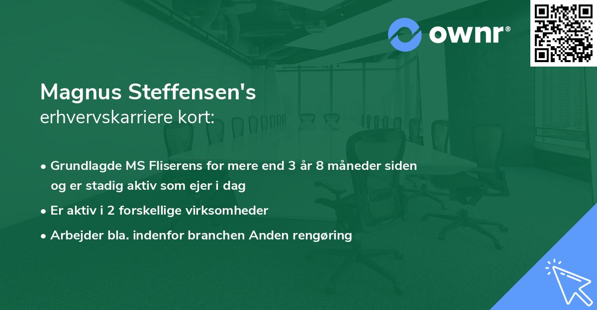 Magnus Steffensen's erhvervskarriere kort
