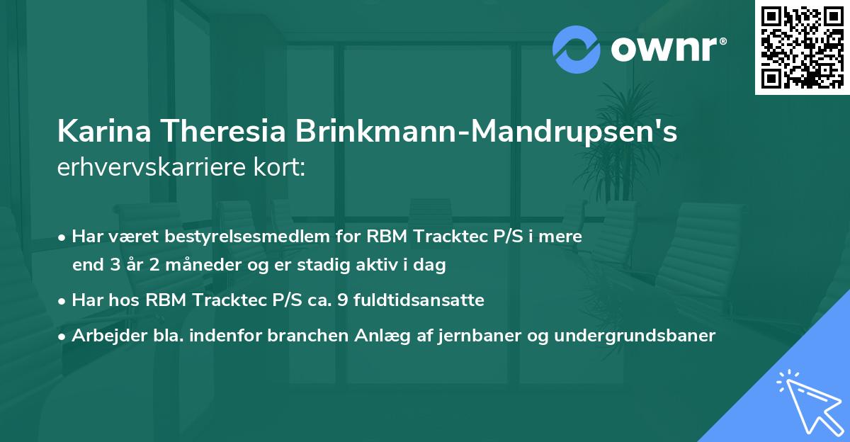Karina Theresia Brinkmann-Mandrupsen's erhvervskarriere kort