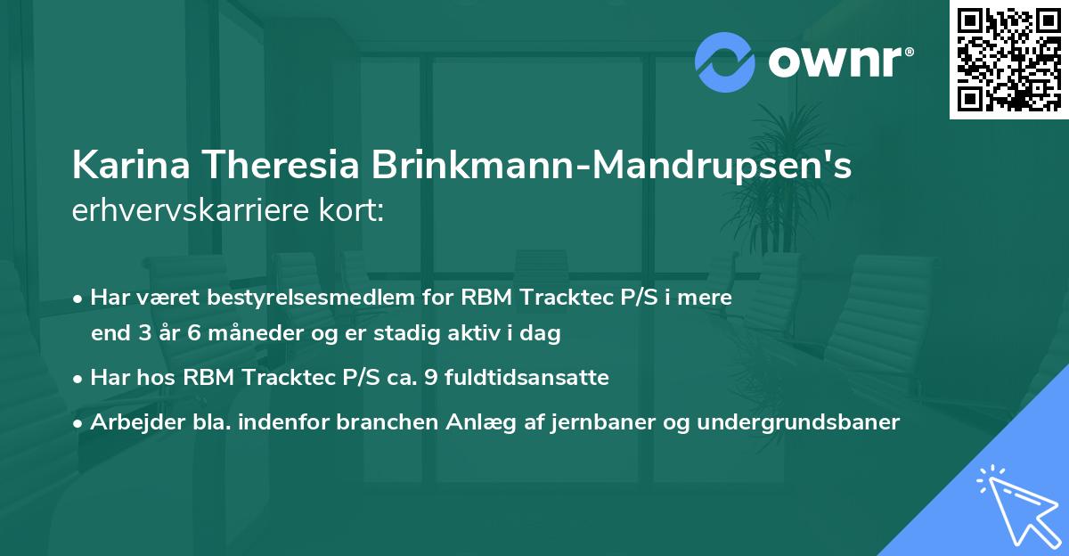 Karina Theresia Brinkmann-Mandrupsen's erhvervskarriere kort