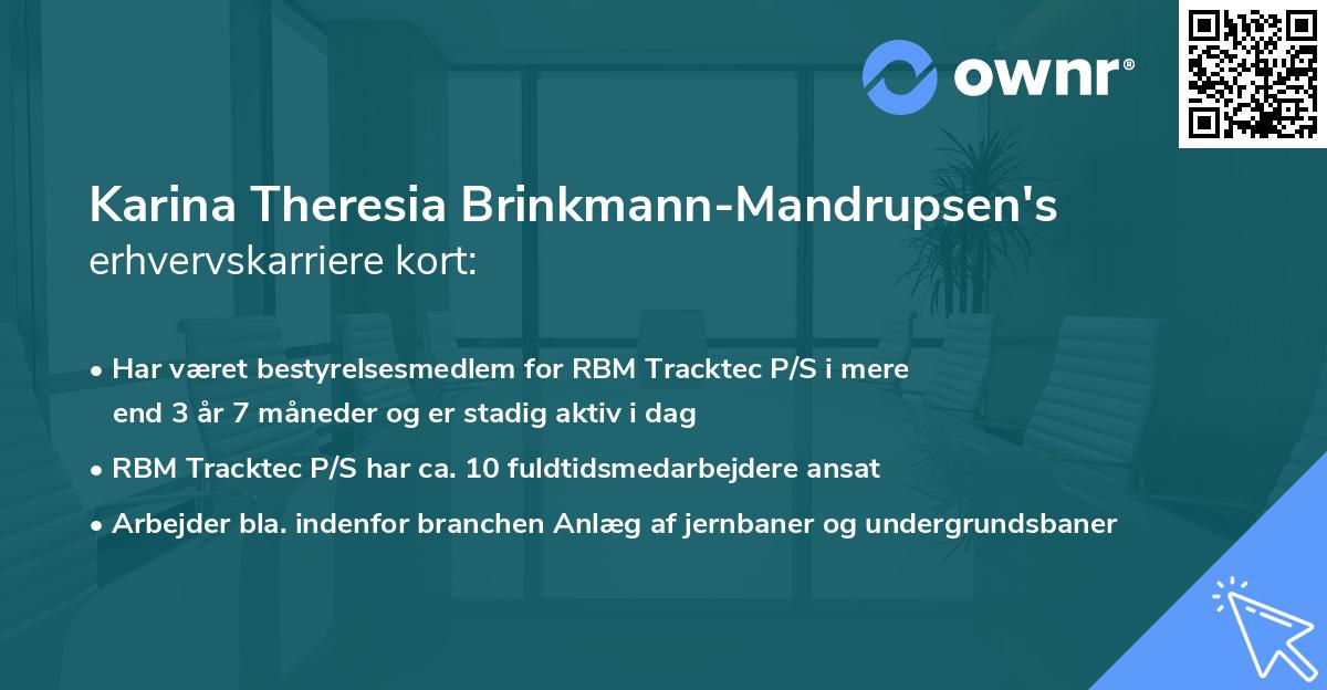 Karina Theresia Brinkmann-Mandrupsen's erhvervskarriere kort