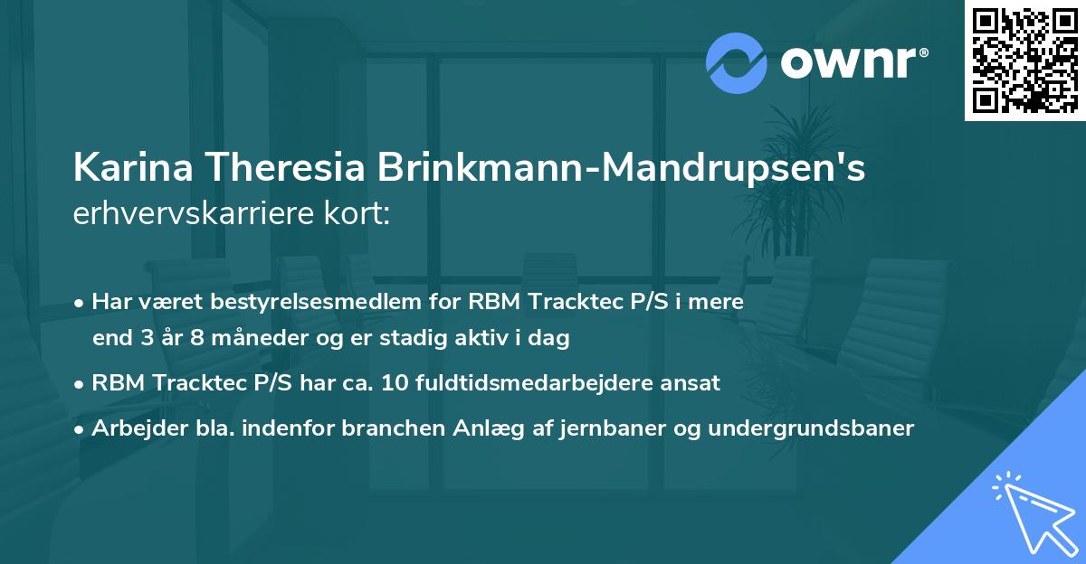 Karina Theresia Brinkmann-Mandrupsen's erhvervskarriere kort