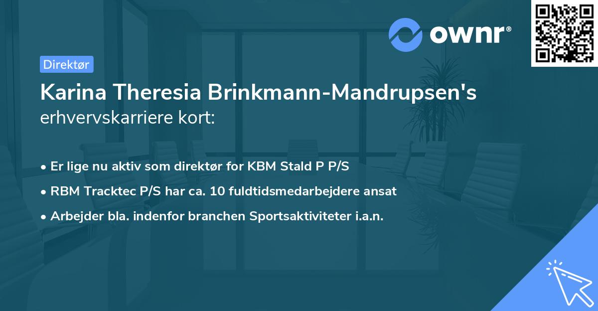 Karina Theresia Brinkmann-Mandrupsen's erhvervskarriere kort