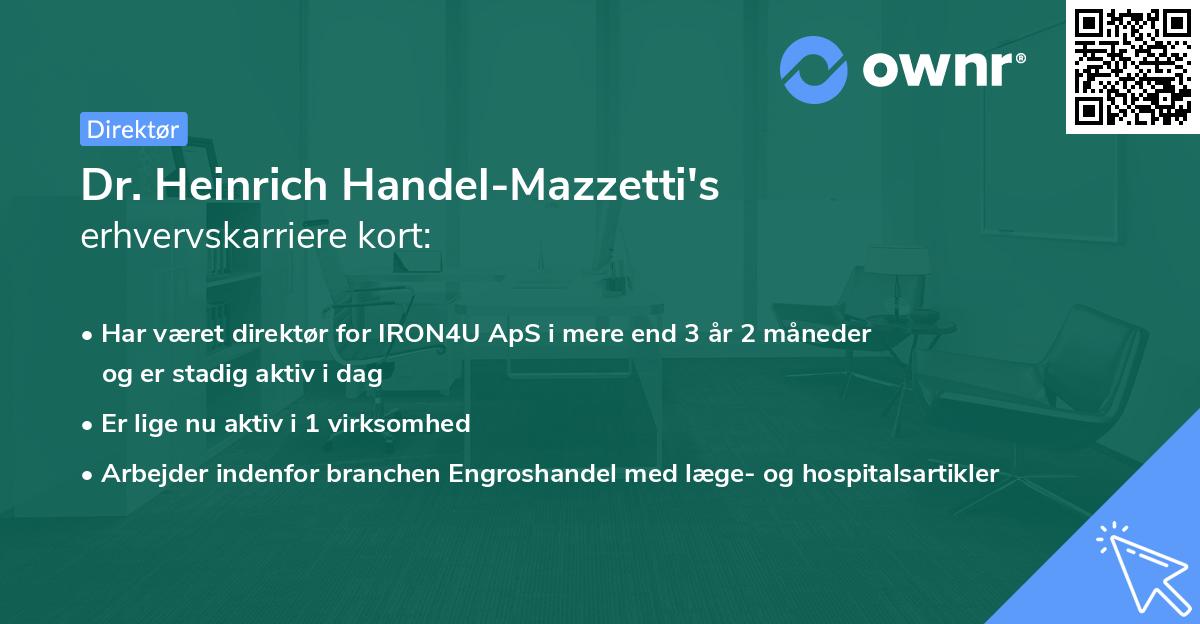 Dr. Heinrich Handel-Mazzetti's erhvervskarriere kort