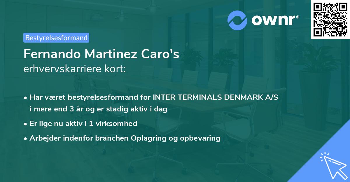 Fernando Martinez Caro's erhvervskarriere kort