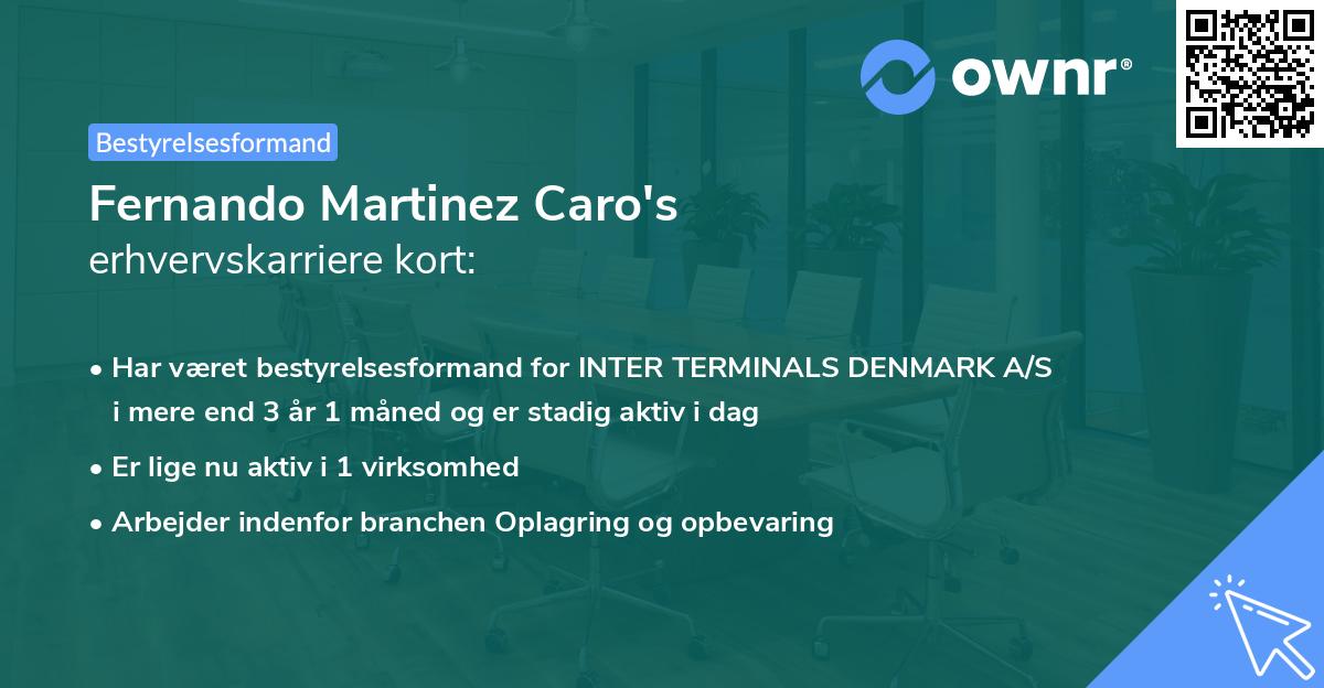 Fernando Martinez Caro's erhvervskarriere kort