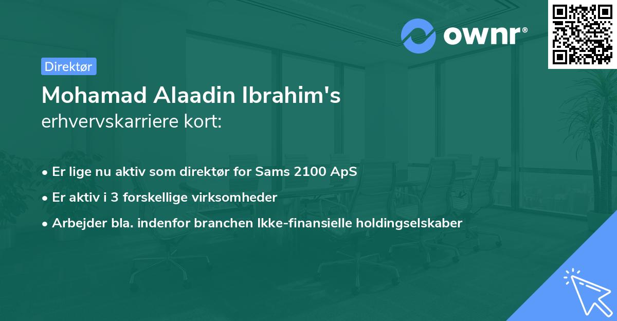 Mohamad Alaadin Ibrahim's erhvervskarriere kort