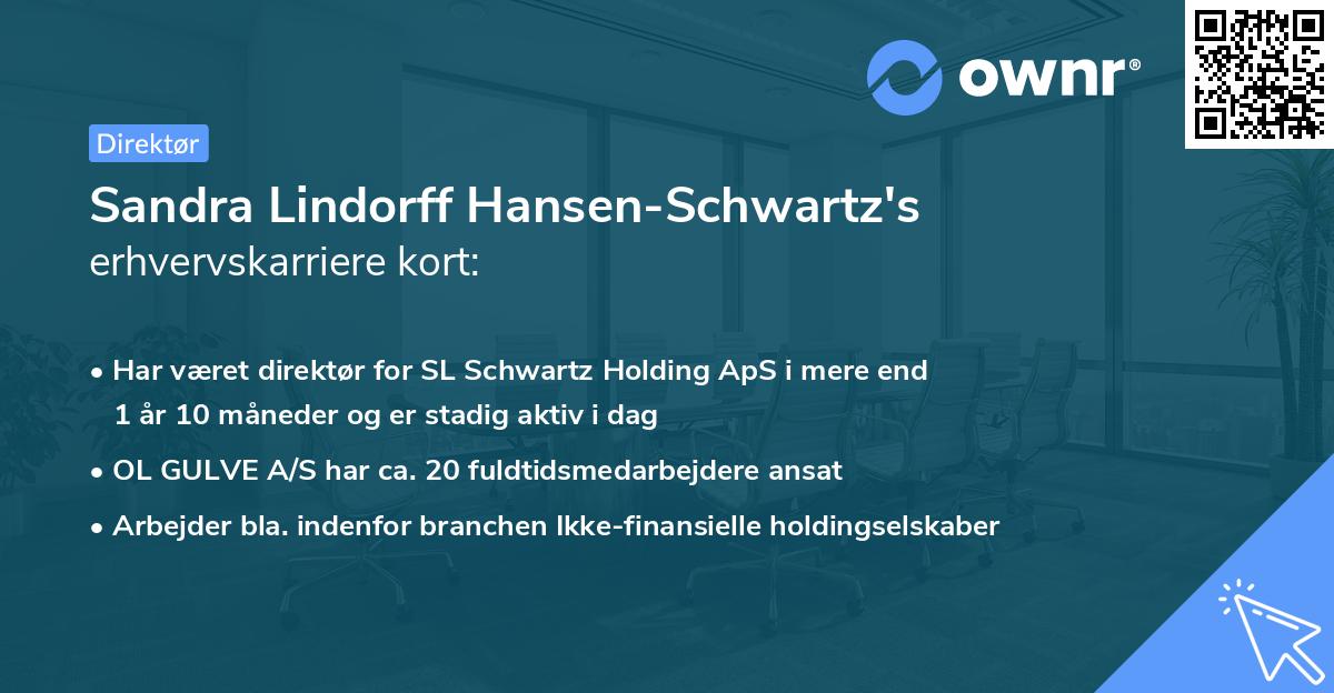 Sandra Lindorff Hansen-Schwartz's erhvervskarriere kort