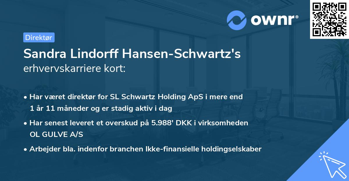 Sandra Lindorff Hansen-Schwartz's erhvervskarriere kort