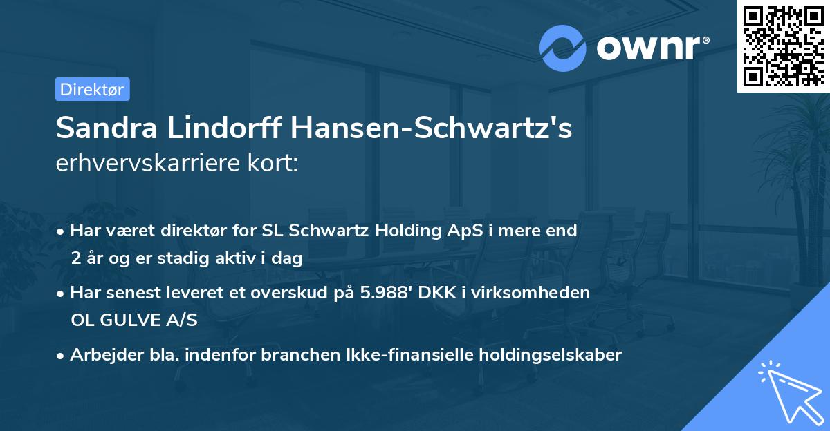 Sandra Lindorff Hansen-Schwartz's erhvervskarriere kort