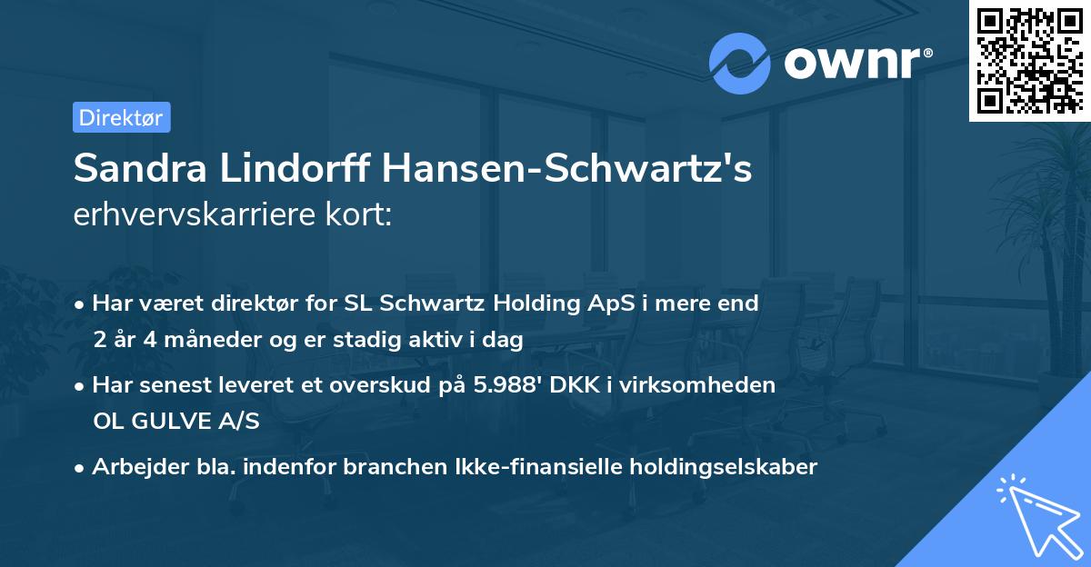 Sandra Lindorff Hansen-Schwartz's erhvervskarriere kort