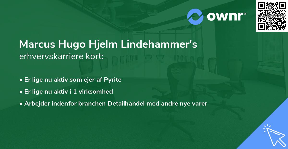 Marcus Hugo Hjelm Lindehammer's erhvervskarriere kort