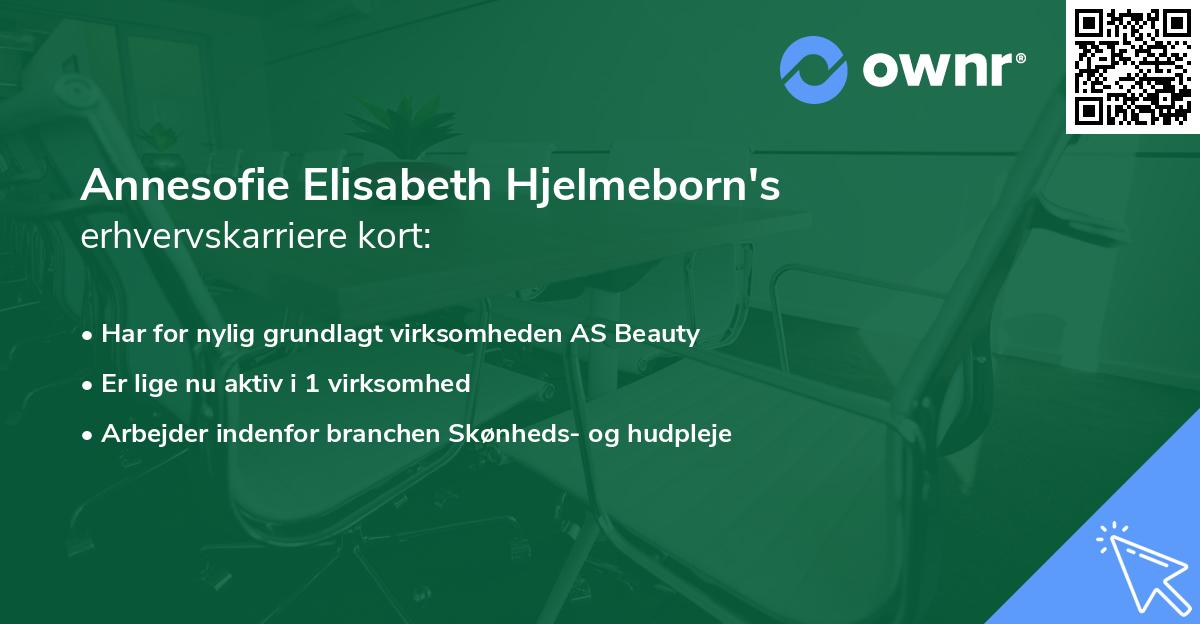Annesofie Elisabeth Hjelmeborn's erhvervskarriere kort