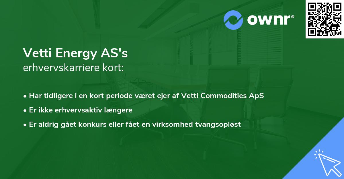 Vetti Energy AS's erhvervskarriere kort