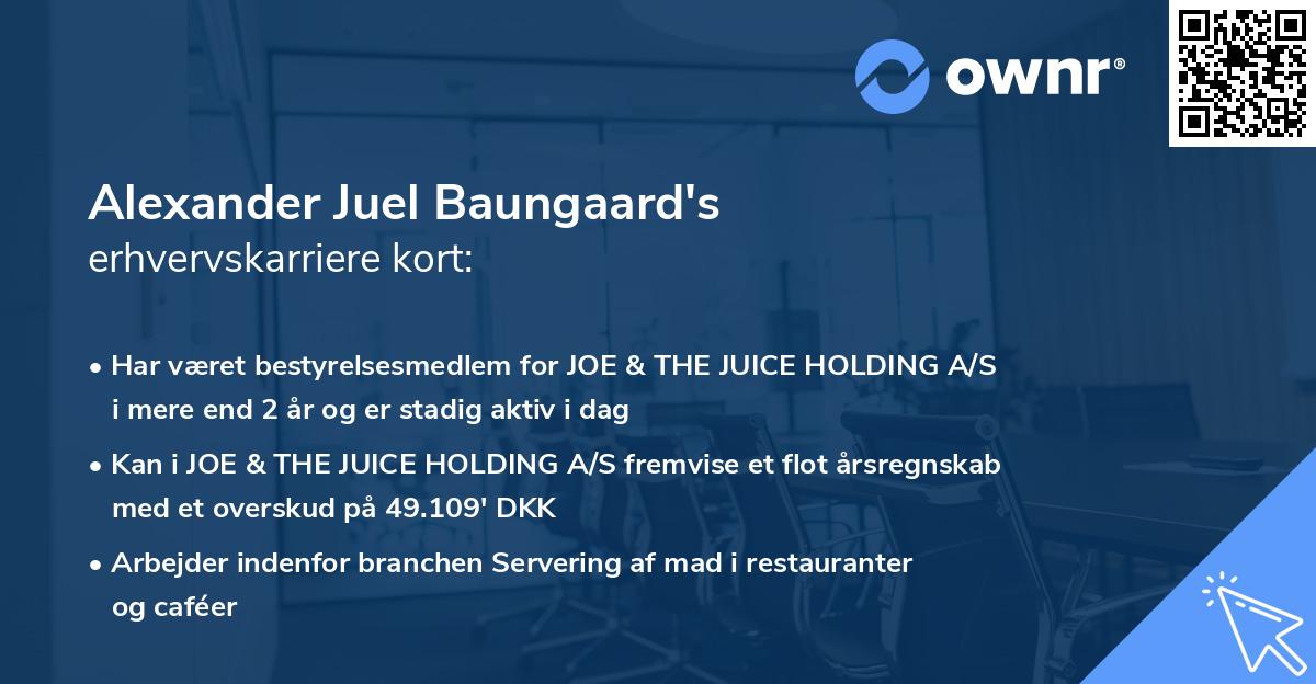 Alexander Juel Baungaard's erhvervskarriere kort