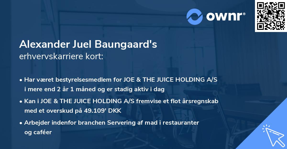 Alexander Juel Baungaard's erhvervskarriere kort