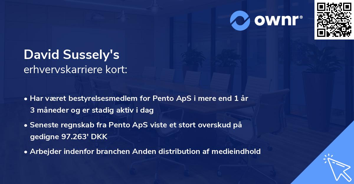 David Sussely's erhvervskarriere kort