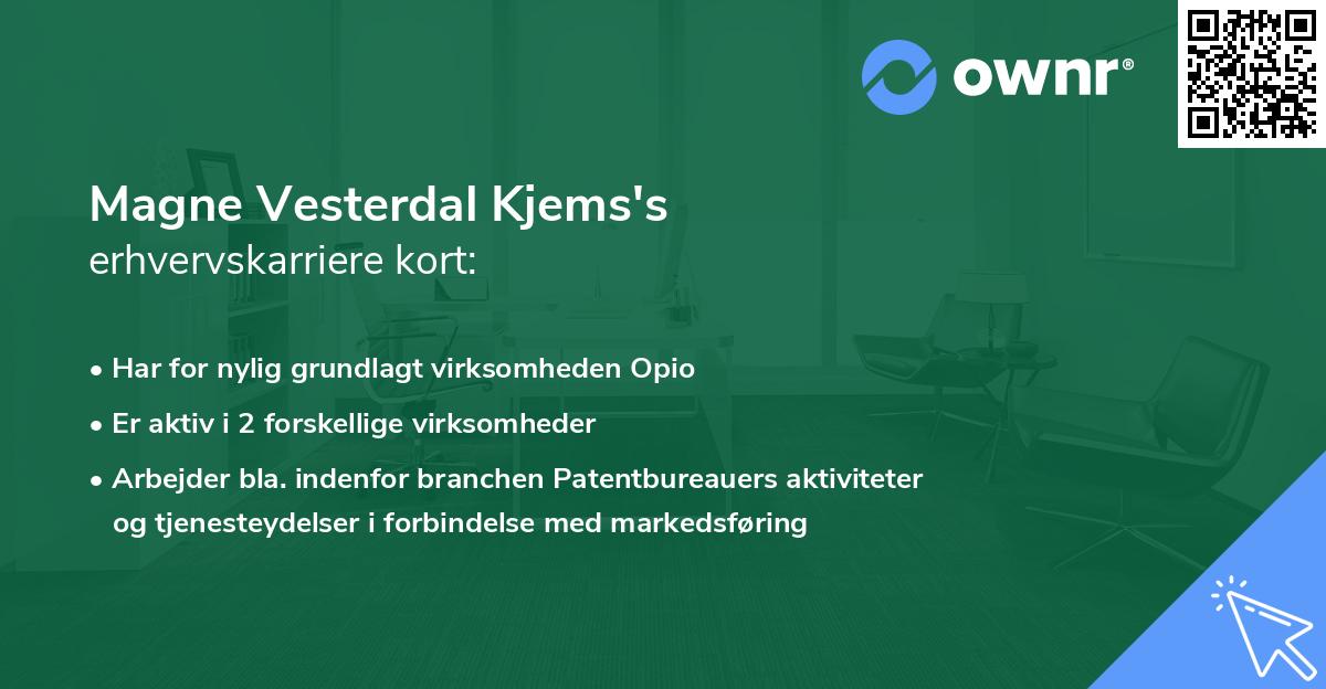 Magne Vesterdal Kjems's erhvervskarriere kort