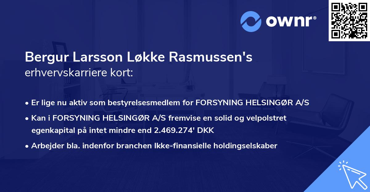 Bergur Larsson Løkke Rasmussen's erhvervskarriere kort