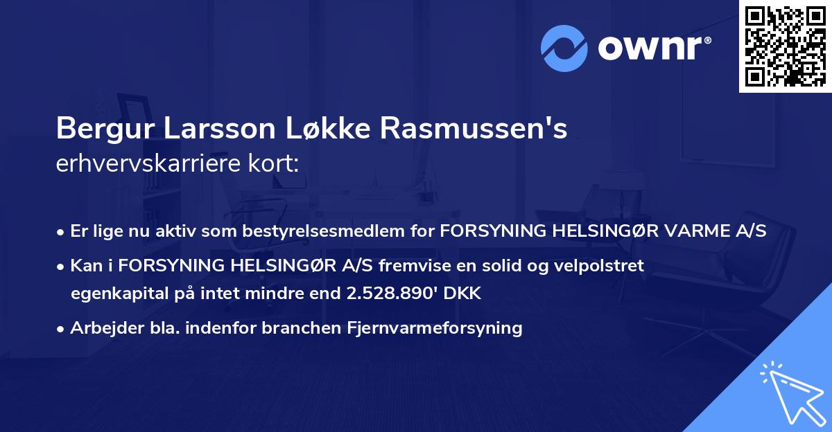 Bergur Larsson Løkke Rasmussen's erhvervskarriere kort