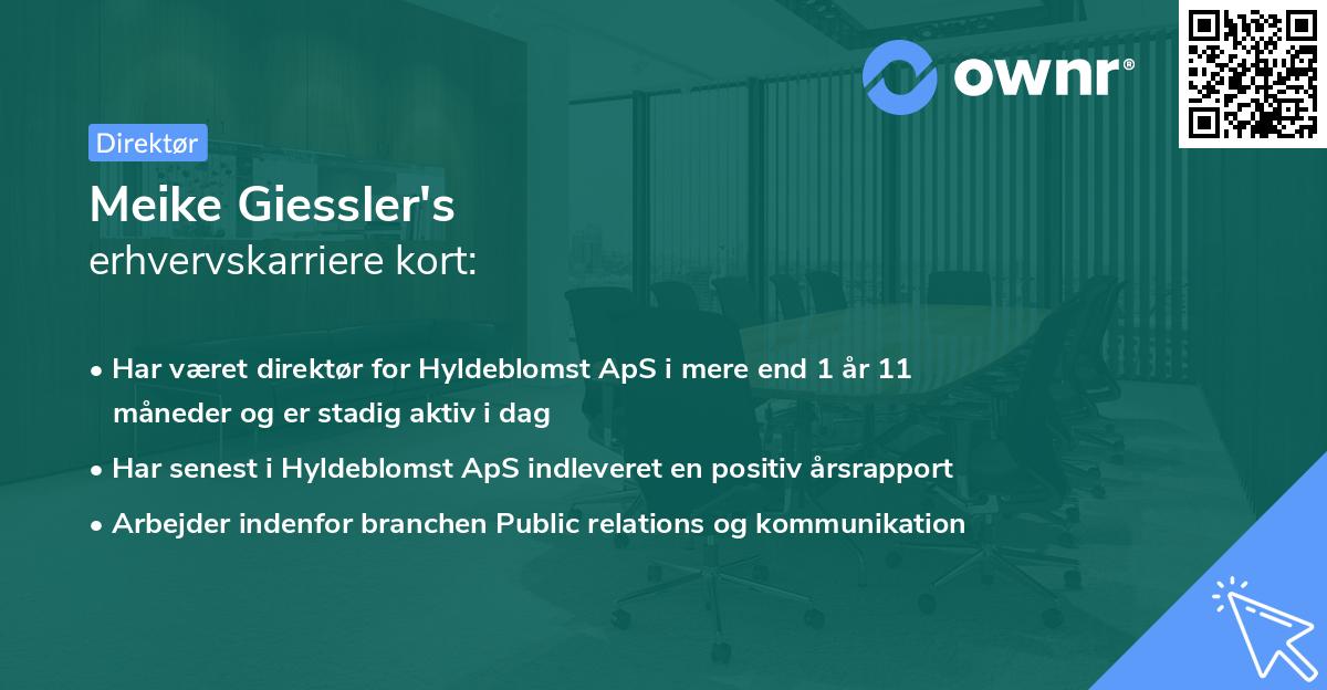 Meike Giessler's erhvervskarriere kort