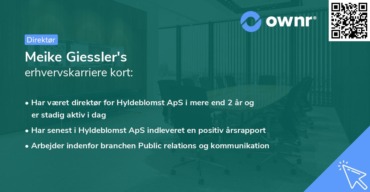 Meike Giessler's erhvervskarriere kort