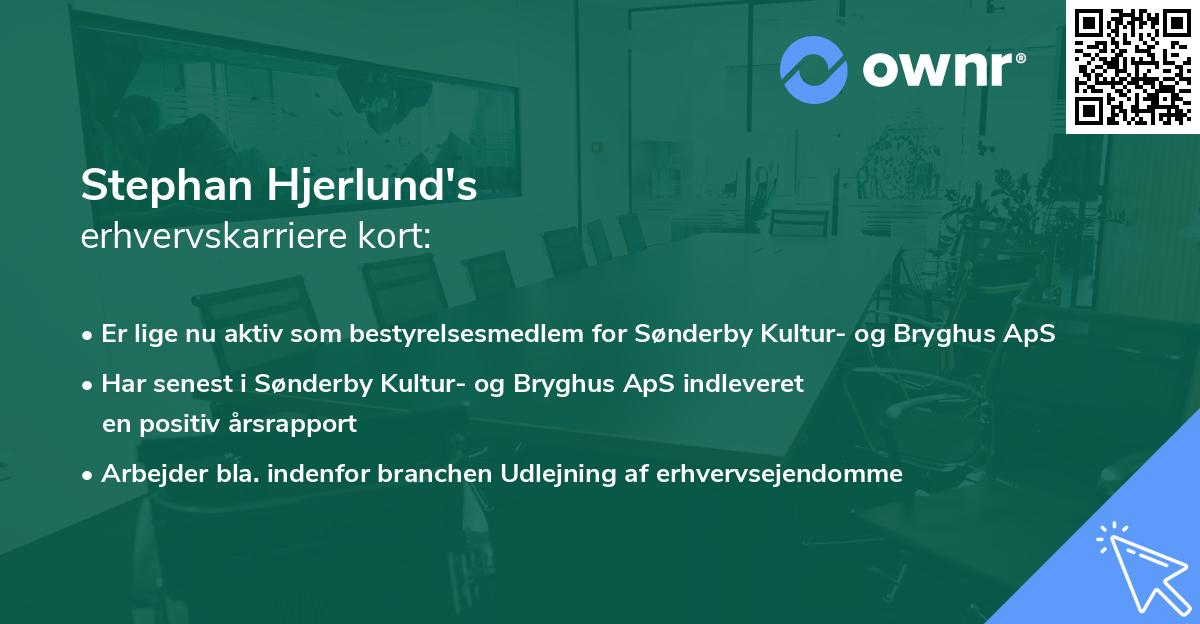 Stephan Hjerlund's erhvervskarriere kort