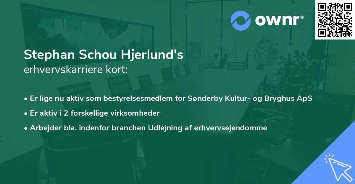Stephan Schou Hjerlund's erhvervskarriere kort