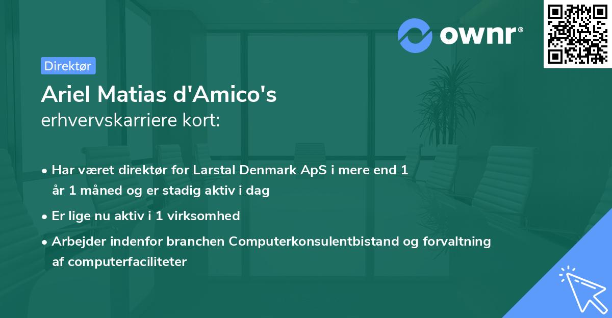 Ariel Matias d'Amico's erhvervskarriere kort