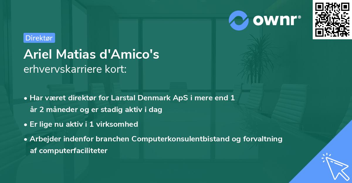 Ariel Matias d'Amico's erhvervskarriere kort